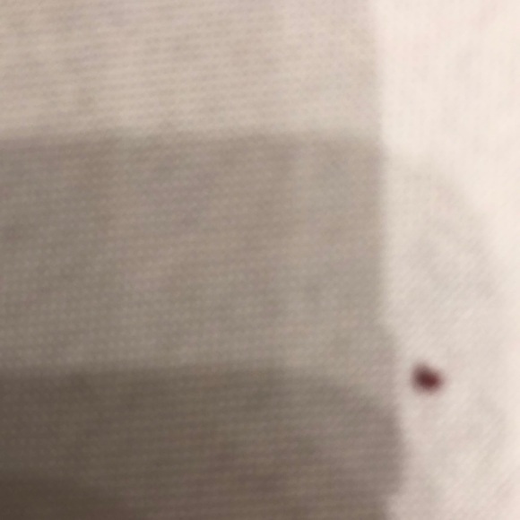 Meet your Posher, Bea - Picture 1 of 1